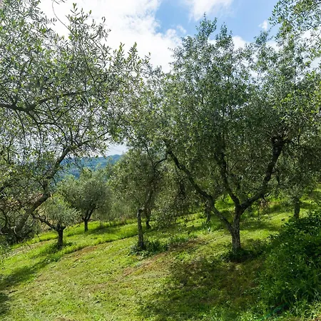 Idyllic In Pescia With Swimming Pool Szálloda 4*