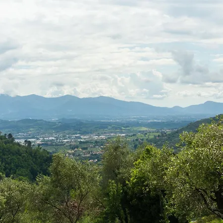 Idyllic In Pescia With Swimming Pool